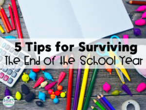 Read more about the article 5 Tips for Surviving the End of the School Year