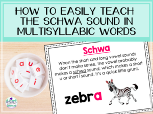 Read more about the article How to Easily Teach The Schwa Sound in Words