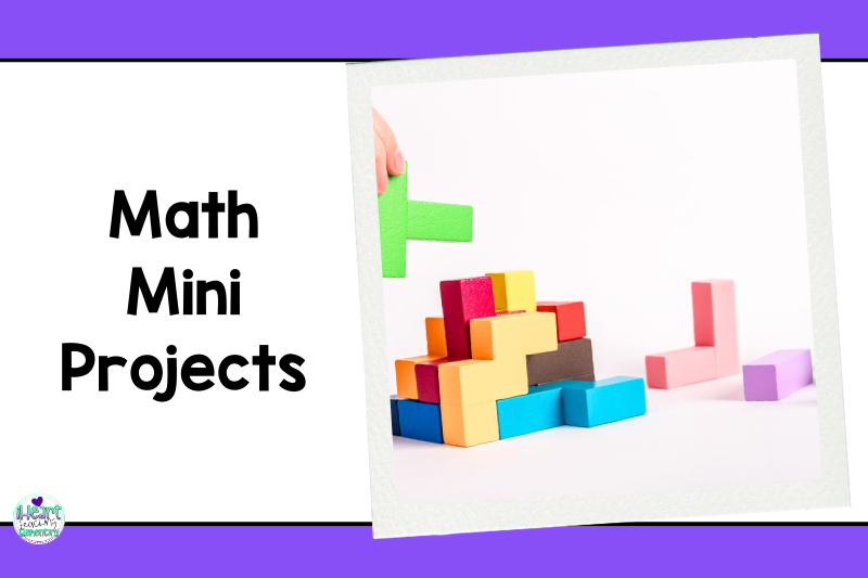 small group instruction blocks for math project