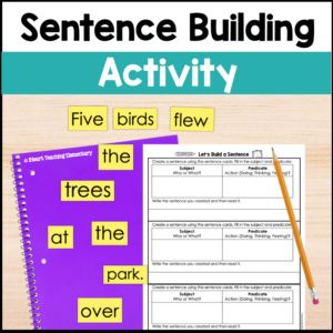 Sentence Structure – A Sentence Building Activity